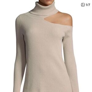 ROI Cashmere One Shoulder Turtleneck Sweater